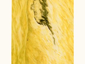 〈暴風의 섬〉 — 제92회 광풍회전 (2006)