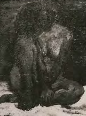 〈나부〉 · 1953 / Nude · 1953